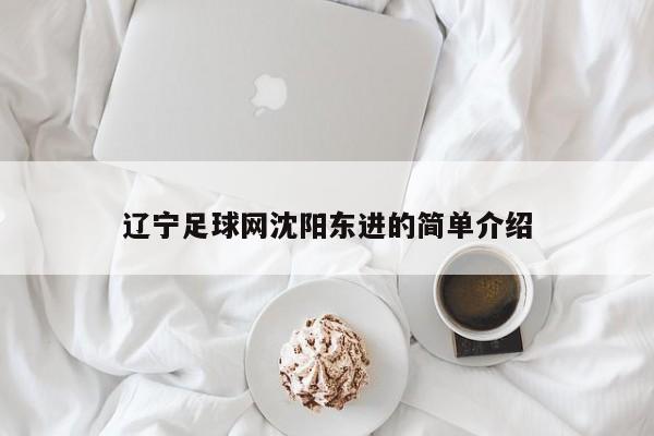 辽宁足球网沈阳东进的简单介绍