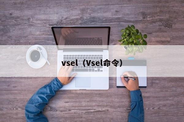 vsel（Vsel命令）