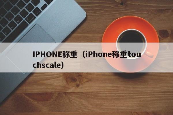 IPHONE称重（iPhone称重touchscale）