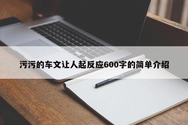 污污的车文让人起反应600字的简单介绍