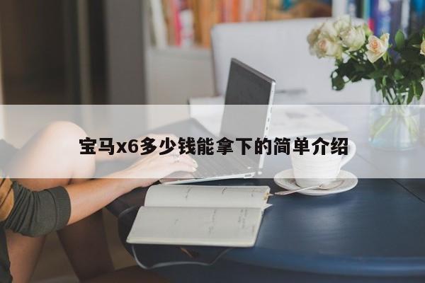 宝马x6多少钱能拿下的简单介绍