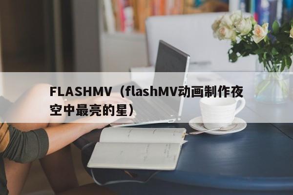 FLASHMV（flashMV动画制作夜空中最亮的星）