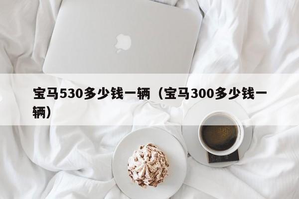 宝马530多少钱一辆（宝马300多少钱一辆）