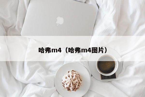 哈弗m4（哈弗m4图片）