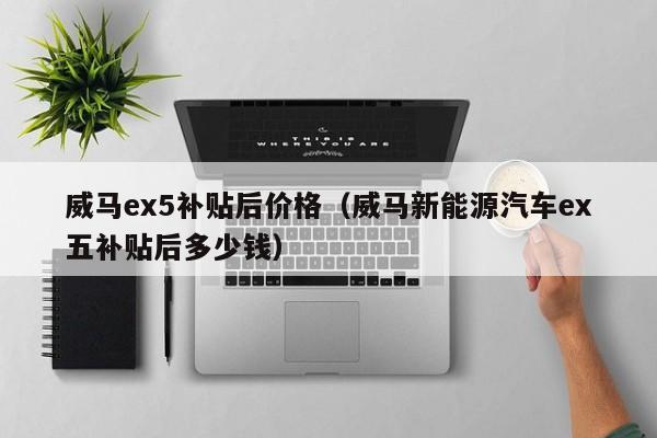 威马ex5补贴后价格（威马新能源汽车ex五补贴后多少钱）