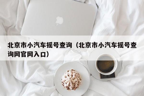 北京市小汽车摇号查询（北京市小汽车摇号查询网官网入口）