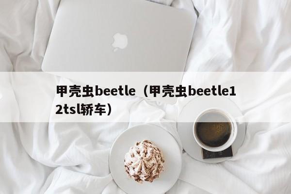 甲壳虫beetle（甲壳虫beetle12tsl轿车）