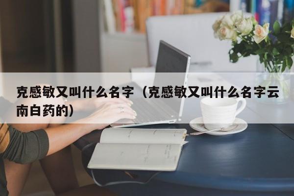 克感敏又叫什么名字（克感敏又叫什么名字云南白药的）