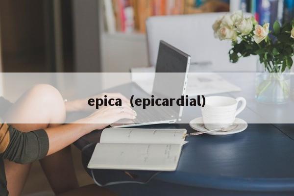 epica（epicardial）