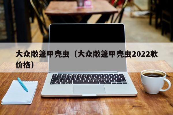 大众敞篷甲壳虫（大众敞篷甲壳虫2022款价格）