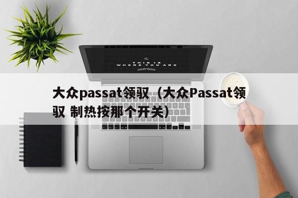 大众passat领驭（大众Passat领驭 制热按那个开关）