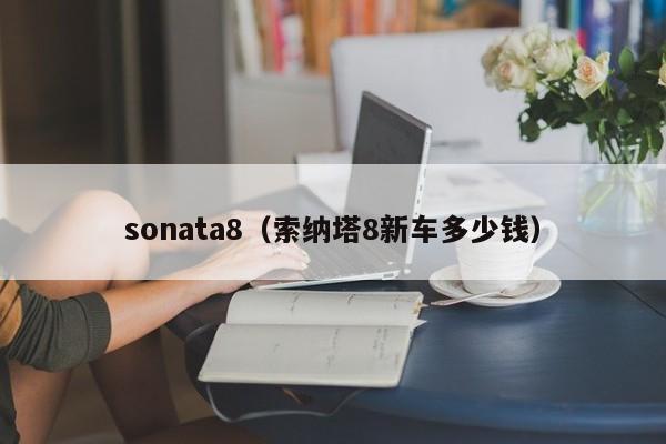 sonata8（索纳塔8新车多少钱）