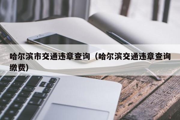 哈尔滨市交通违章查询（哈尔滨交通违章查询缴费）