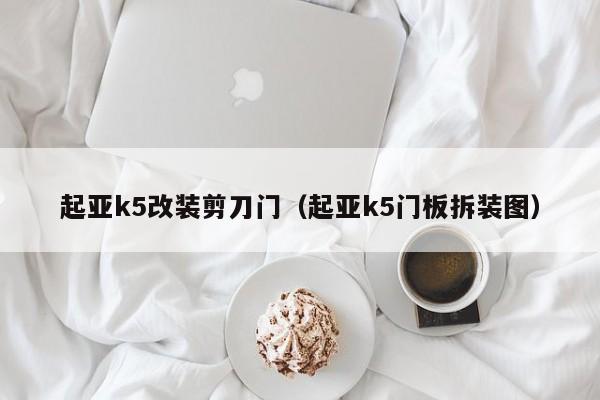 起亚k5改装剪刀门（起亚k5门板拆装图）