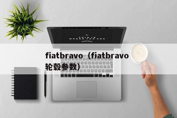 fiatbravo（fiatbravo 轮毂参数）