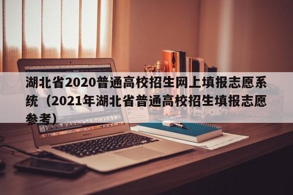 湖北省2020普通高校招生网上填报志愿系统（2021年湖北省普通高校招生填报志愿参考）